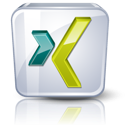 Perfil en Xing